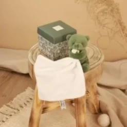 Best Doudou mouchoir- Mon petit ourson - Vert - 10 cm Ours