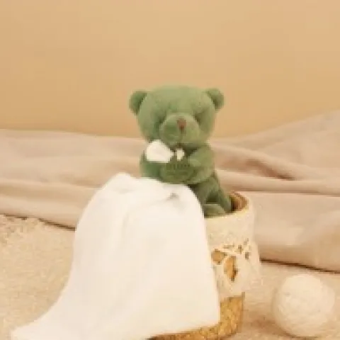 Best Doudou mouchoir- Mon petit ourson - Vert - 10 cm Ours