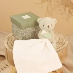 Fashion Doudou mouchoir- Mon petit ourson - Vert Clair - 10 cm Ours|Doudou Mouchoir