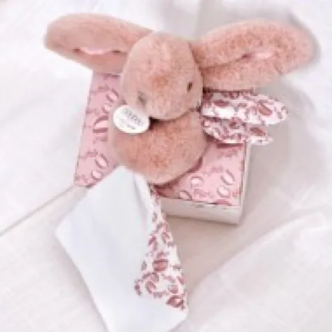 Best Lapin DOUDOU® - Peluche lapin Rose avec doudou assorti - 16 cm Lapin