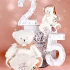 Online Ours en peluche Rose attache-sucette - 20 cm - Collection Anniversaire Doudou® Anniversaire|Ours
